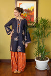 2 Piece - Unstitched Dhanak Stuff Full Embroidered Suit