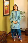 2 Piece - Unstitched Dhanak Stuff Full Embroidered Suit